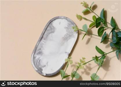 Gray empty decorative plate and green  leaf, product and cosmetic display stage, top view