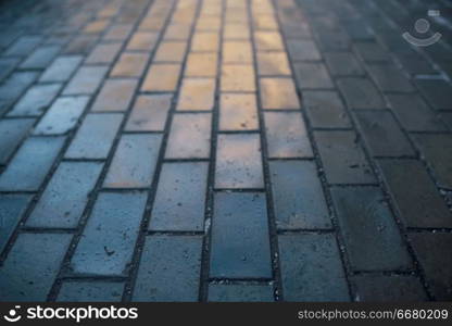 Gray paving slab on the street wet after rain