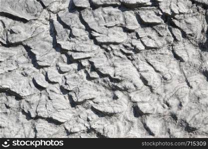 Gray rough stone texture, may be used as background