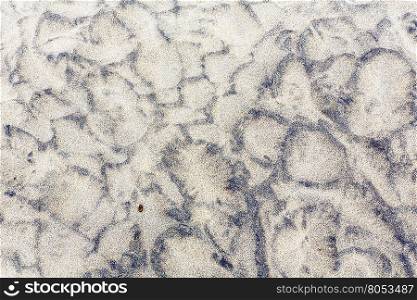 Gray stone (or part of rock) covered sand as abstract background with interesting tracery.