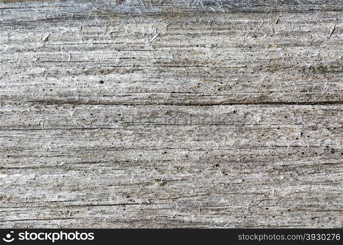Gray wood texture. Abstract background, empty template