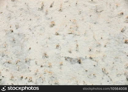 graye wall texture or background  