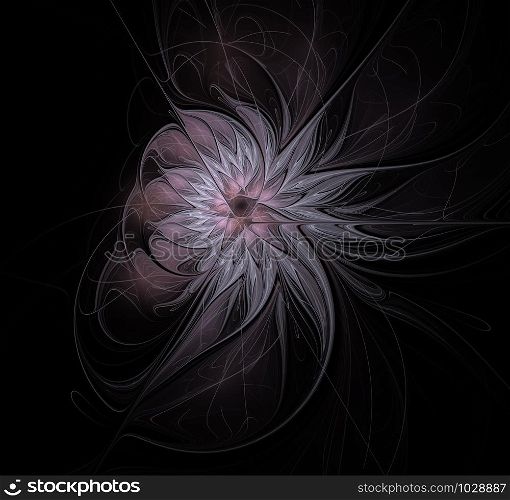 Great abstract fractals flower, petals elongated, black background. Abstract fractals flower