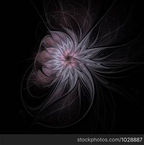 Great abstract fractals flower, petals elongated, black background. Abstract fractals flower