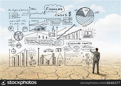 Great anti crisis plan. Back view image of businessman in desert drawing business sketches