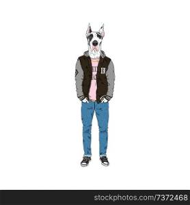 Great Dane dog dressed up in modern city swag style, anthropomorphic animal illustration. animal dressed up in, anthropomorphic animal illustration