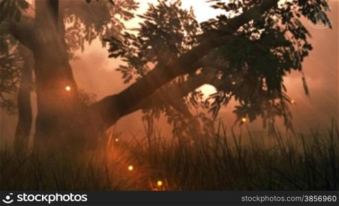 Great fantasy animation of fairy firefly lights dancing around an ancient wooded glen and through the grasses. Great for themes of fantasy, mystical, whimsical, fairytales, imagination, childhood, storytelling.