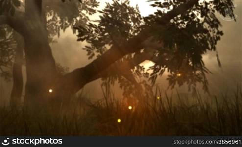 Great fantasy animation of fairy firefly lights dancing around an ancient wooded glen and through the grasses. Great for themes of fantasy, mystical, whimsical, fairytales, imagination, childhood, storytelling. Looping!