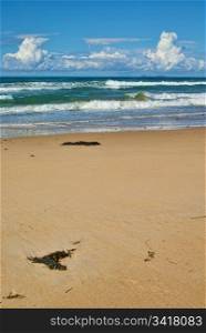 great image of a beautiful summer sandy beach