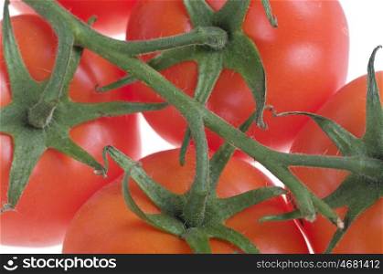 great image of some fresh and juicy tomatoes