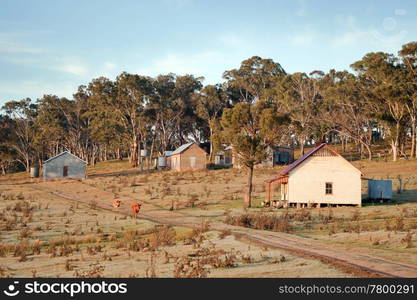 great image of the farm at early morning