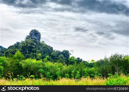 great mountain with green trees in Thailand