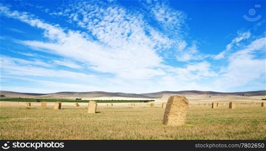 great panoramic image of a field with haybales in the country