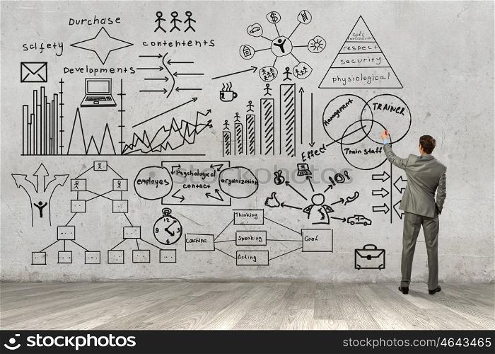 Great plan for success achieving. Back view image of businessman drawing business sketches on wall