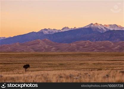 Great Sand Dunes National Park in Colorado, United States