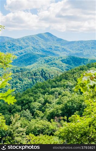 Great Smoky Mountains National Park near Gatlinburg, Tennessee.