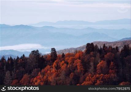 Great Smoky Mountains National Park, Tennessee, USA