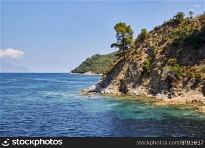 Grecce coast line stone and forest scene