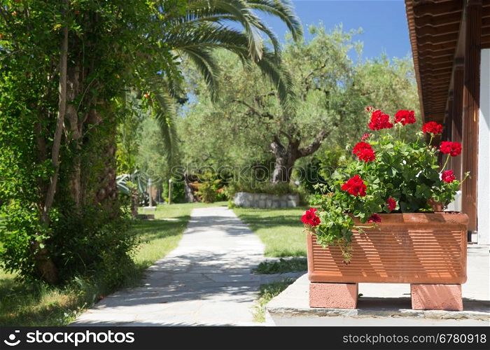 Greek garden with big earthenware jar