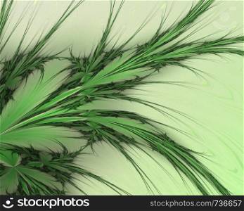 Green abstract branches on a white background - Illustration. Green abstract branches on a white background