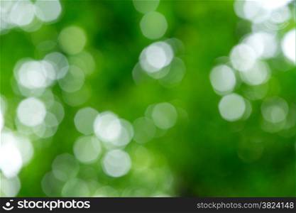 green abstract light background