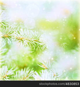 Green abstract natural background, coniferous branch covered with rime, frosty and snowy weather in winter season, Christmastime concept