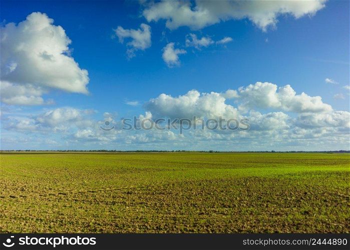Green Agricultural Farm Field with Blue Sky and White Clouds in the Background, Grassland, Country Meadow Landscape,  World Environment Day Concept, Natural Background, Backdrop