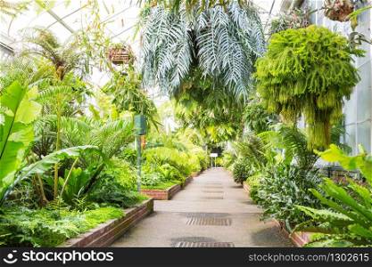 Green alley with flowers hanging in pots. Best relaxation face to face with nature.. Green alley with flowers hanging in pots.