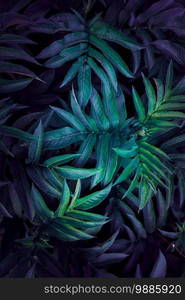                                  green and blue plant leaves in the garden in autumn season