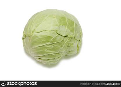 Green and healthy cabbage isolated on a white background