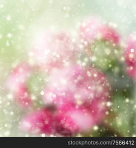 green and pink garden bokeh background with sun beams