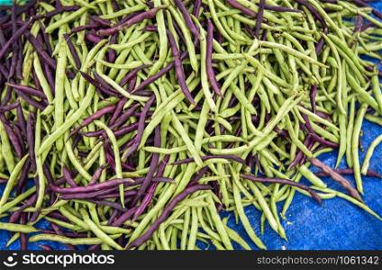 Green and purple yardlong bean on background / cow pea