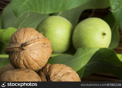 Green and ripe walnuts. Walnut leaves