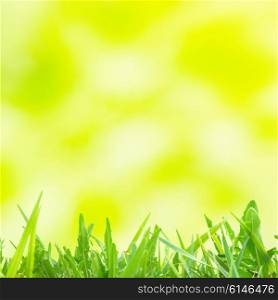 Green and yellow abstract light spots can be used for background