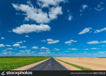 green and yellow fields separates automobile road