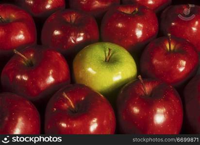 Green Apple Among Red Apples
