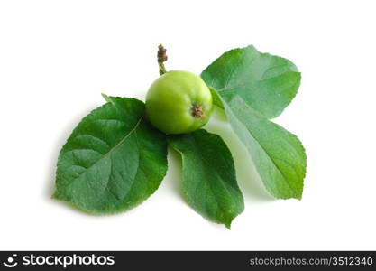 green apple and leaf isolated on white background