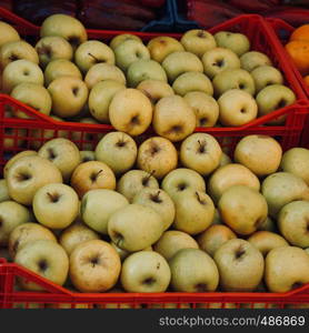 green apple fruit in the fruit store