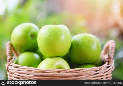 Green Apples / Harvest fresh apple in the basket collect fruit in the garden
