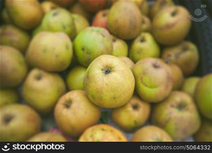 Green apples in a stack in autumn harvested from an apple tree in the fall