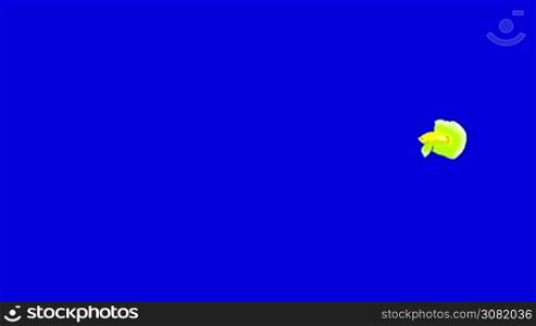 Green Aquarium cockerel fish floats in an aquarium. Animated Looped Motion Graphic Isolated on Blue Screen