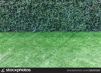 Green artificial turf and bush fence