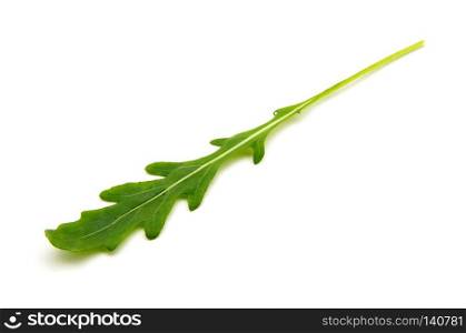 Green arugula leaf isolated on white