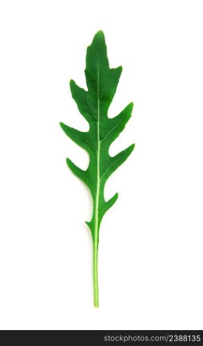 Green arugula leaf isolated on white