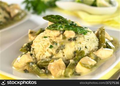 Green asparagus and chicken fricassee with rice (Selective Focus, Focus on the first asparagus tip on the rice). Asparagus Chicken Fricassee