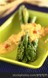 Green asparagus curry (Selective Focus, Focus on the two upper asparagus tips). Green Asparagus Curry