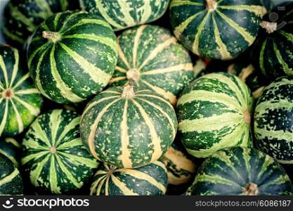 green autumn pumpkins as a background