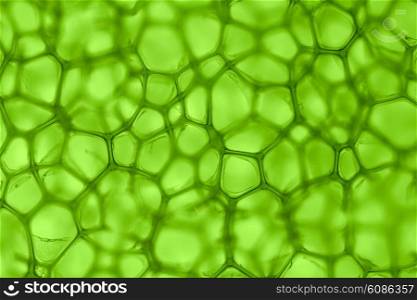 green background from the cells