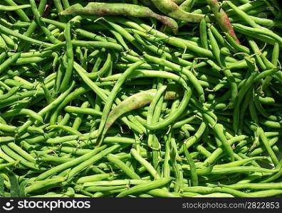 green beans in sunny outdoor in Mediterranean Spain