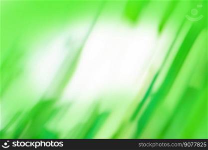 Green beautiful nature green eco background for your design. Abstract environmental background.. Nature green organic eco product blurry background. Ecology nature concept